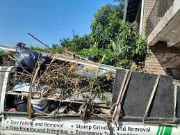 Professional Junk Removal Services in Sterling, IL