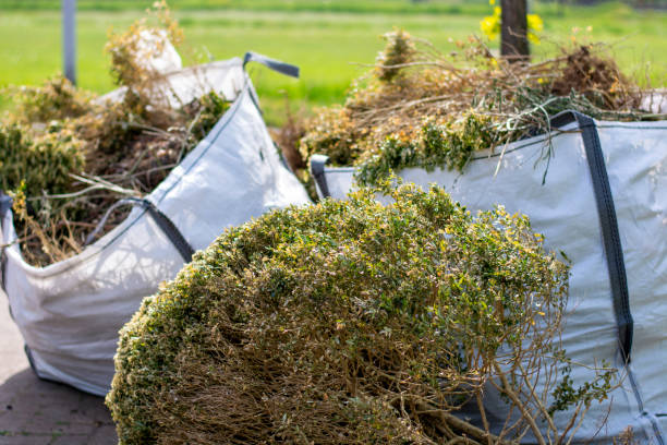 Best Demolition Debris Removal  in Sterling, IL